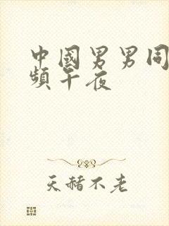 中国男男同性视频午夜