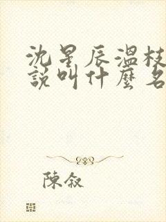 沈星辰温枝意小说叫什么名字封面