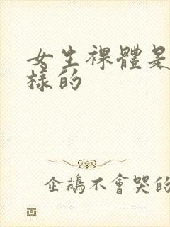 女生裸体是什么样的