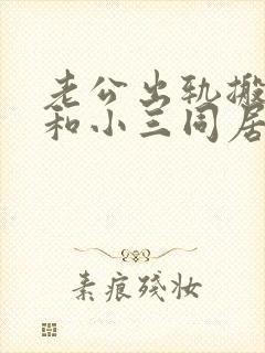 老公出轨搬出去和小三同居我该怎么办封面