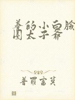 养的小白脸是京圈太子爷