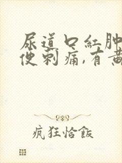 尿道口红肿,小便刺痛,有黄色分泌物