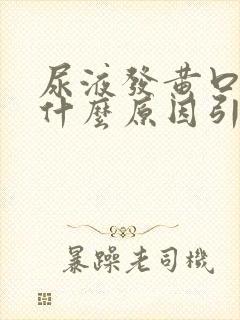 尿液发黄口臭是什么原因引起的