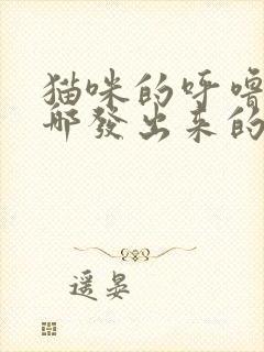 猫咪的呼噜声从哪发出来的封面