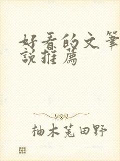 好看的文笔好小说推荐