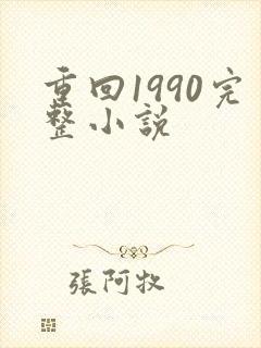 重回1990完整小说封面