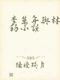 李万年与林婉仙的小说封面