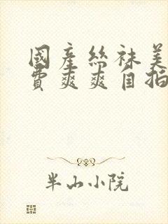 国产丝袜美女免费爽爽自拍视频