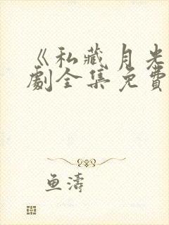 《私藏月光》短剧全集免费观看封面