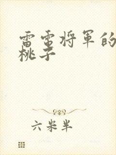 雷电将军的惩罚桃子封面