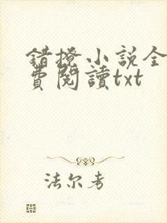 错撩小说全文免费阅读txt