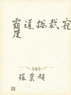 霸道总裁宠妻无度