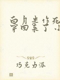 白月光作死后又穿回来了 小说封面