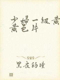 少妇一级黄色特黄色片封面