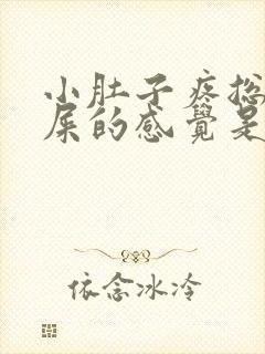 小肚子疼总有拉屎的感觉是怎么回事封面