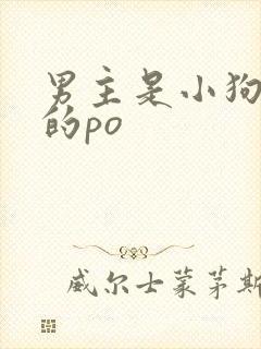 男主是小狗类型的po