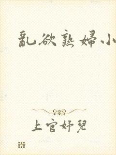 乱欲熟妇小说封面