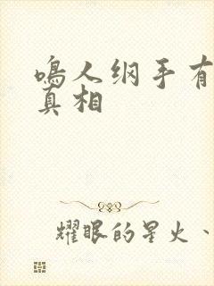 鸣人纲手有图有真相封面