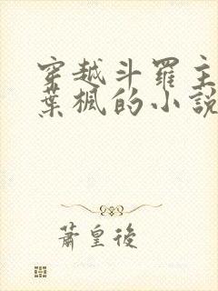 穿越斗罗主角是叶枫的小说