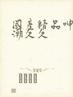 国产精品呻吟高潮久久