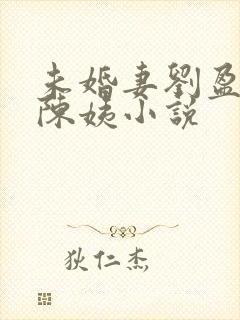 未婚妻刘盈孟南陈姨小说封面