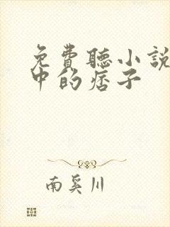 免费听小说老街中的痞子