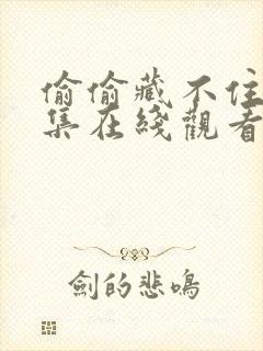 偷偷藏不住剧全集在线观看免费