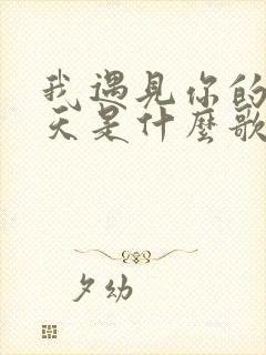 我遇见你的那一天是什么歌里的歌词