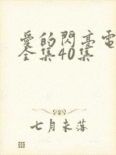 爱的闪亮电视剧全集40集封面