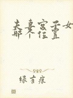 夫妻宫子女宫在哪个位置