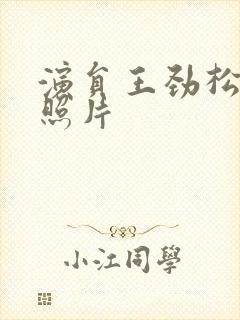 演员王劲松老婆照片封面