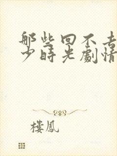 那些回不去的年少时光剧情介绍封面