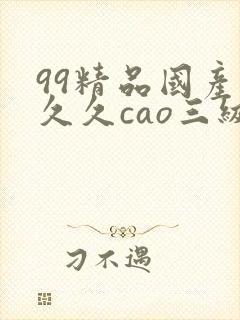 99精品国产热久久cao三级