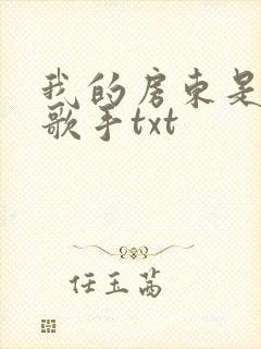 我的房东是偶像歌手txt封面