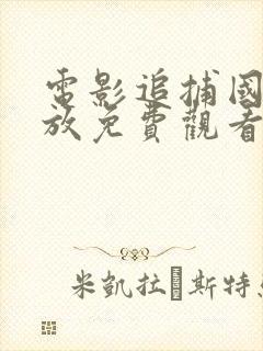 电影追捕国语播放免费观看封面