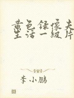 黄色录像夫妻性生活一级片