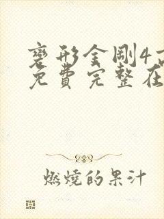 变形金刚4高清免费完整在线观看