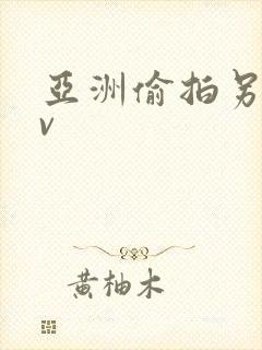 亚洲偷拍另类av