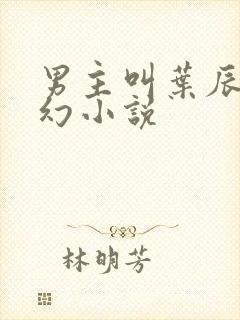 男主叫叶辰的玄幻小说封面