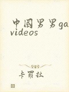 中国男男gayvideos封面