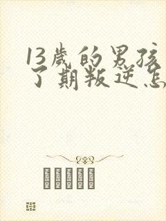 13岁的男孩到了期叛逆怎么教