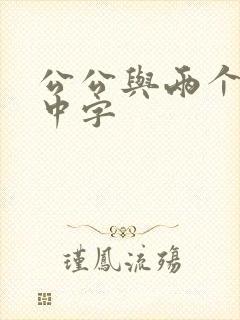 公公与两个儿媳中字封面