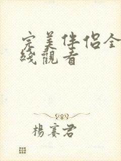 完美伴侣全集在线观看