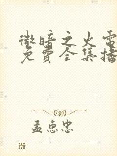 微暗之火电视剧免费全集播放