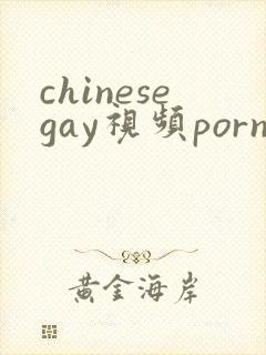 chinesegay视频porn封面