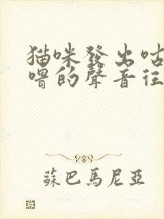 猫咪发出咕噜咕噜的声音往你身上蹭