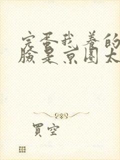 完蛋我养的小白脸是京圈太子爷短剧