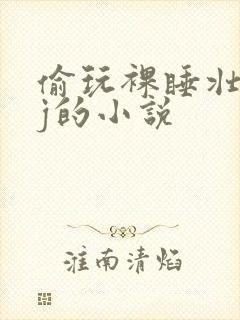 偷玩裸睡壮汉jj的小说