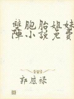 双胞胎姐妹齐上阵小说免费