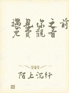 遇见你之前短剧免费观看